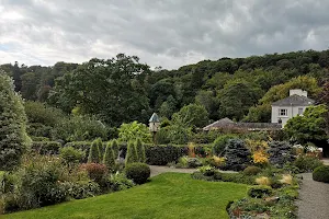 National Trust - Colby Woodland Garden image