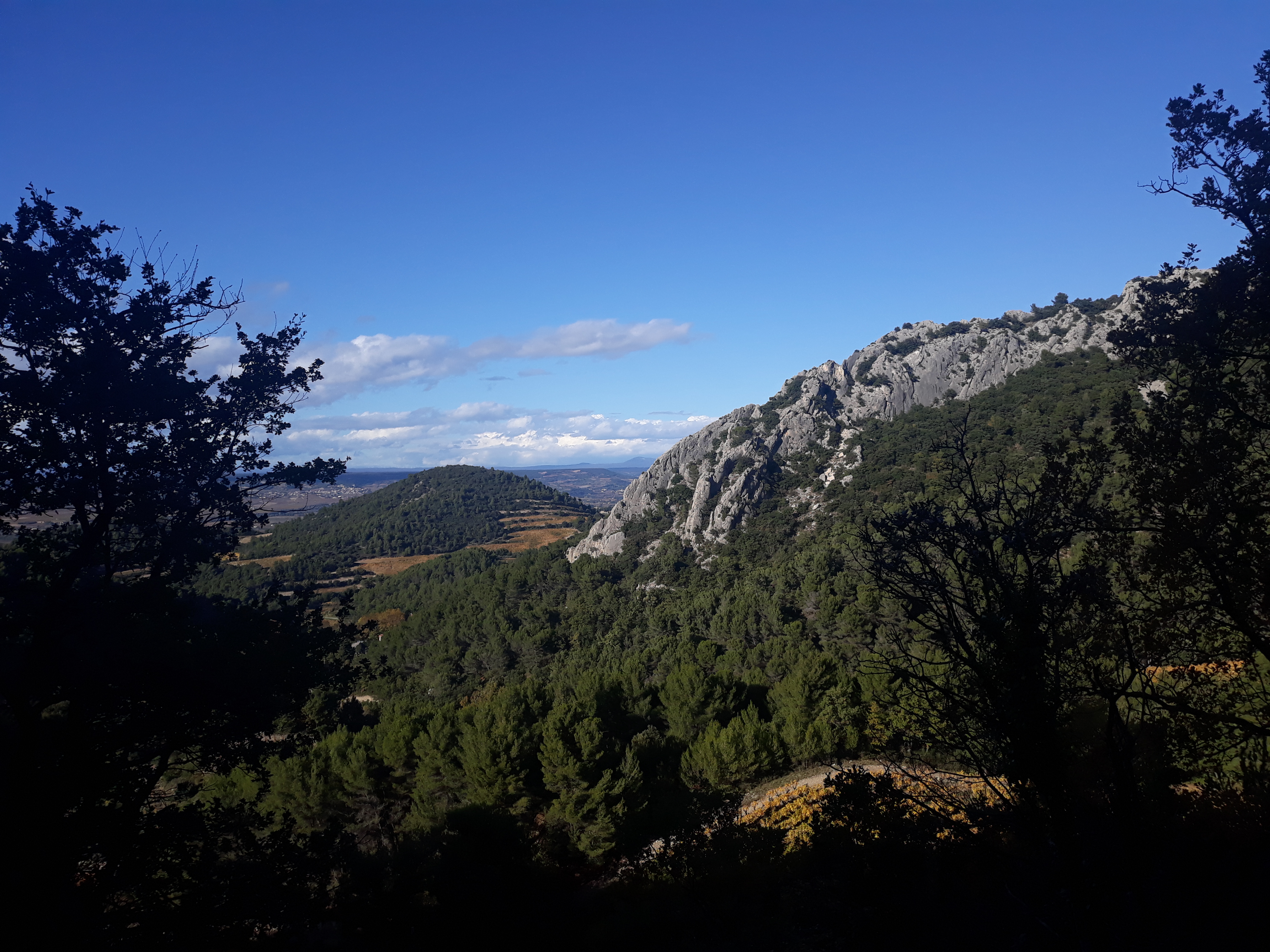 Photo n° 16 de l'avis de Emilie.i fait le 01/11/2021 à 22:18