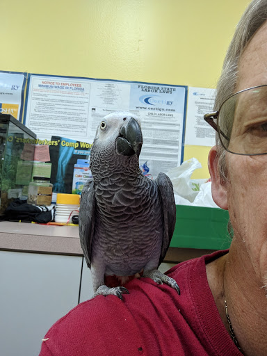 Pet Supply Store «Our Pet World», reviews and photos, 380 Semoran Commerce Pl, Apopka, FL 32703, USA