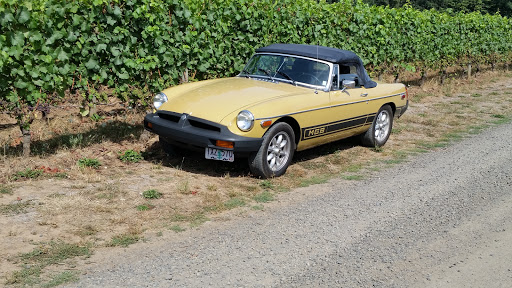 Winery «Patton Valley Vineyard», reviews and photos, 9449 SW Old Highway 47, Gaston, OR 97119, USA