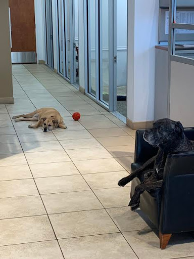 Car Dealer «Mark Sweeney Buick GMC», reviews and photos, 3365 Highland Ave, Cincinnati, OH 45213, USA