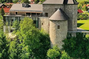 Castle Vinica image