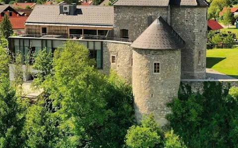 Castle Vinica image