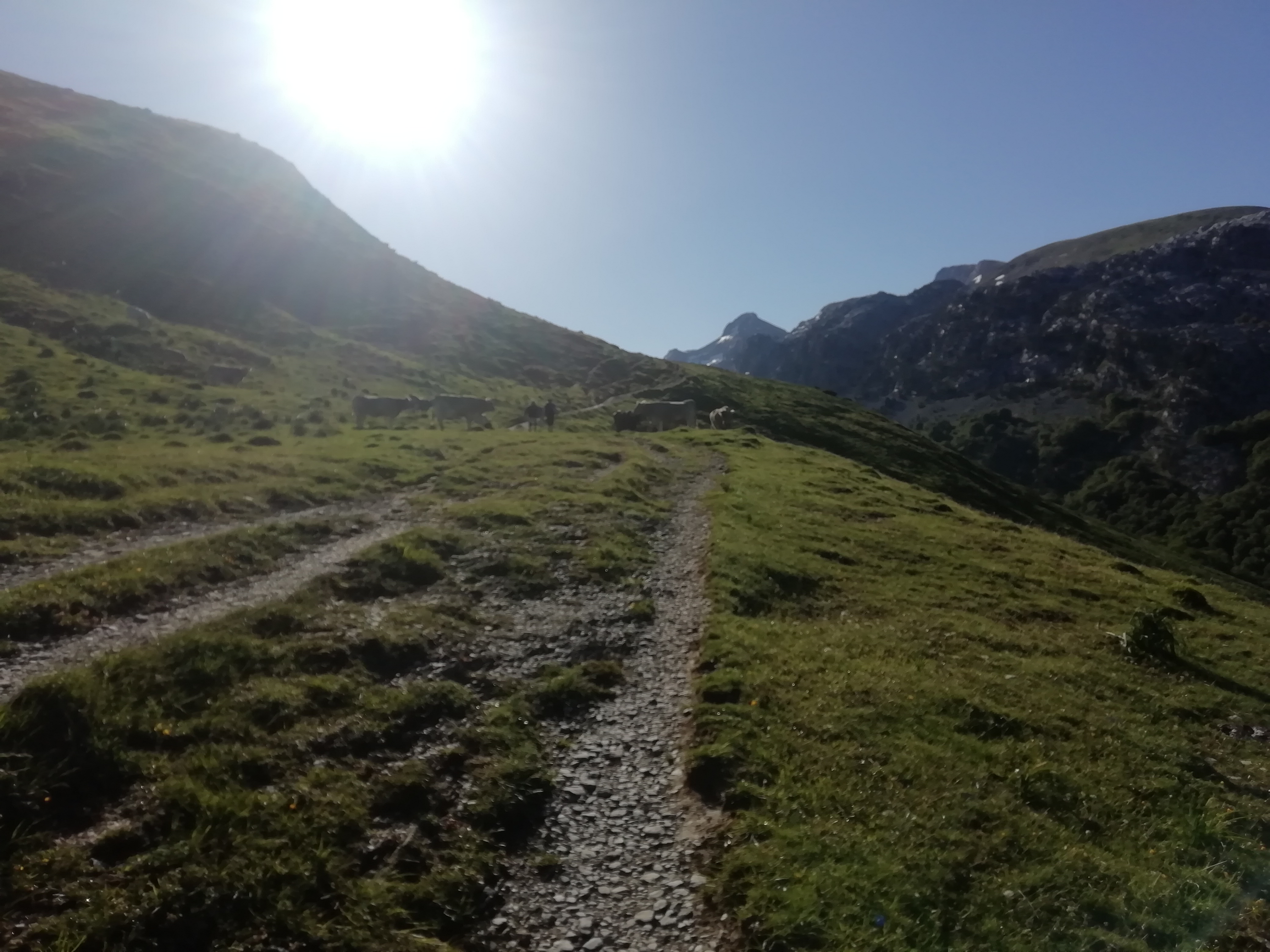 Photo n° 48 de l'avis de Javier.e fait le 06/08/2019 à 22:07