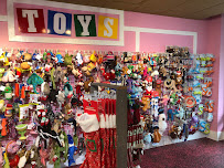 Woof Gang Bakery & Grooming Avondale - Photo 5 - Car repair in Jacksonville, FL, Jacksonville