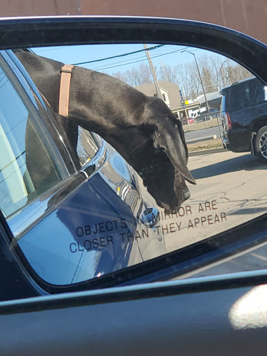 Coffee Shop «Starbucks», reviews and photos, 6677 Dixie Hwy, Village of Clarkston, MI 48346, USA