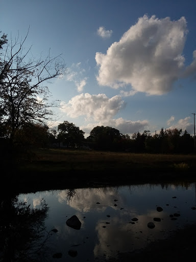 Auditorium «Fenton Community Center», reviews and photos, 150 S Leroy St, Fenton, MI 48430, USA