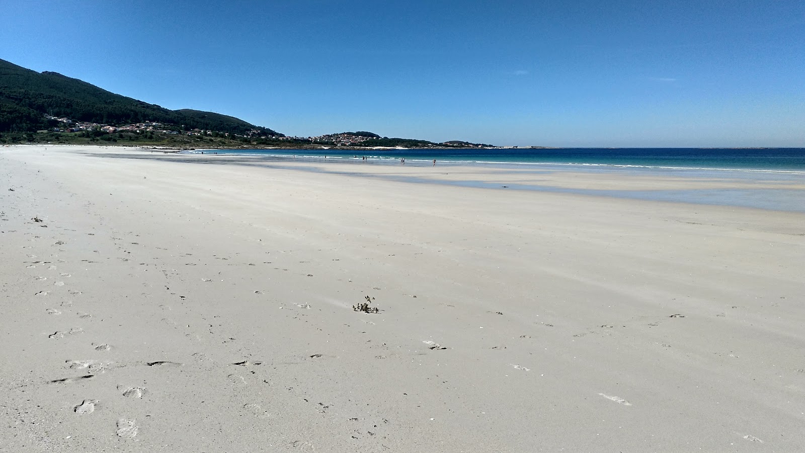 Foto af Carnota Strand vildt område