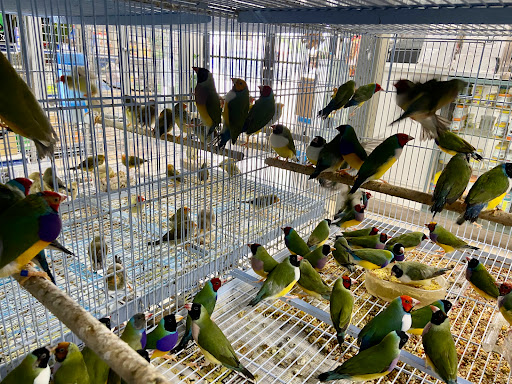 Pet Supply Store «Neighborhood Pet Shop», reviews and photos, 574 Hialeah Dr, Hialeah, FL 33010, USA