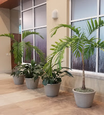 Green Resources Interior Landscaping - Photo 9 - Car repair in Old Hickory, TN, Nashville