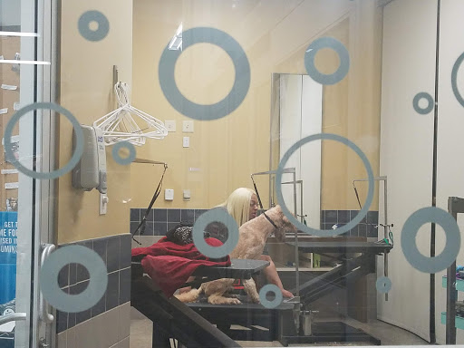 Pet Supply Store «Petco Animal Supplies», reviews and photos, 2435 N Hwy 67, Florissant, MO 63033, USA