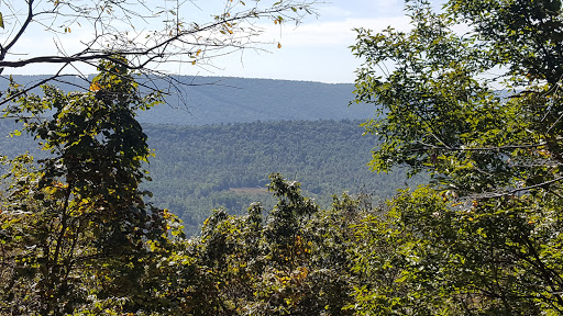 Motorcycle Dealer «Stoney Creek Cycles», reviews and photos, 1864 Riverview Rd, Dauphin, PA 17018, USA