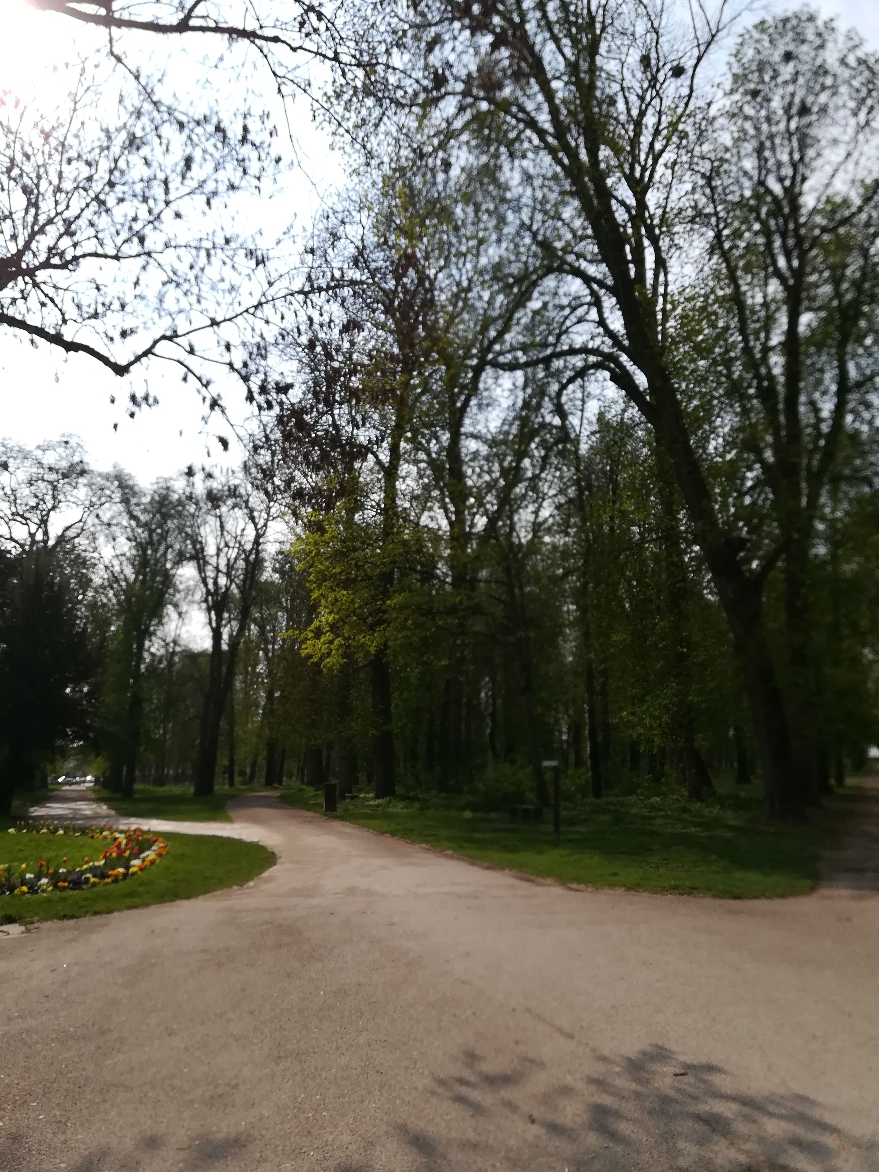 Photo n° 3 de l'avis de Project.J fait le 19/04/2019 à 14:28