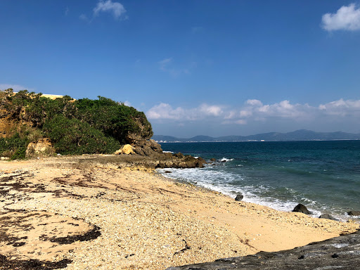 Travel Agency «Travel Leaders», reviews and photos, 1018 Spring Hill Ring Rd, West Dundee, IL 60118, USA