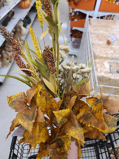 Fabric Store «Jo-Ann Fabrics and Crafts», reviews and photos, 311 Sagamore Pkwy N, Lafayette, IN 47904, USA