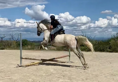 Horse Side à Chabanière