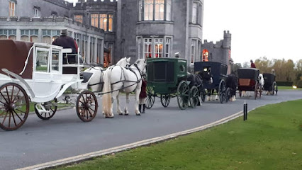 Sean Kilkenny Carriages, Trekking and Equine Services (thejarveyman)