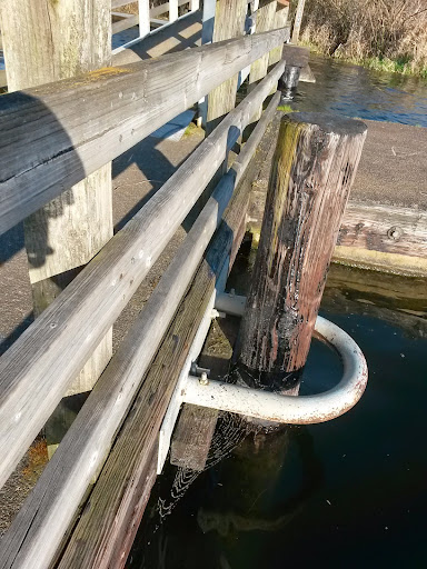 Botanical Garden «Washington Park Arboretum - UW Botanic Gardens», reviews and photos, 2300 Arboretum Dr E, Seattle, WA 98112, USA