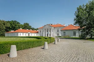 Pałac Ogińskich image