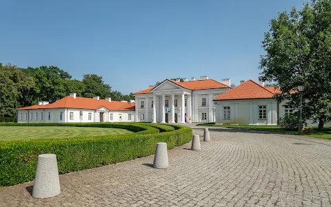 Pałac Ogińskich image