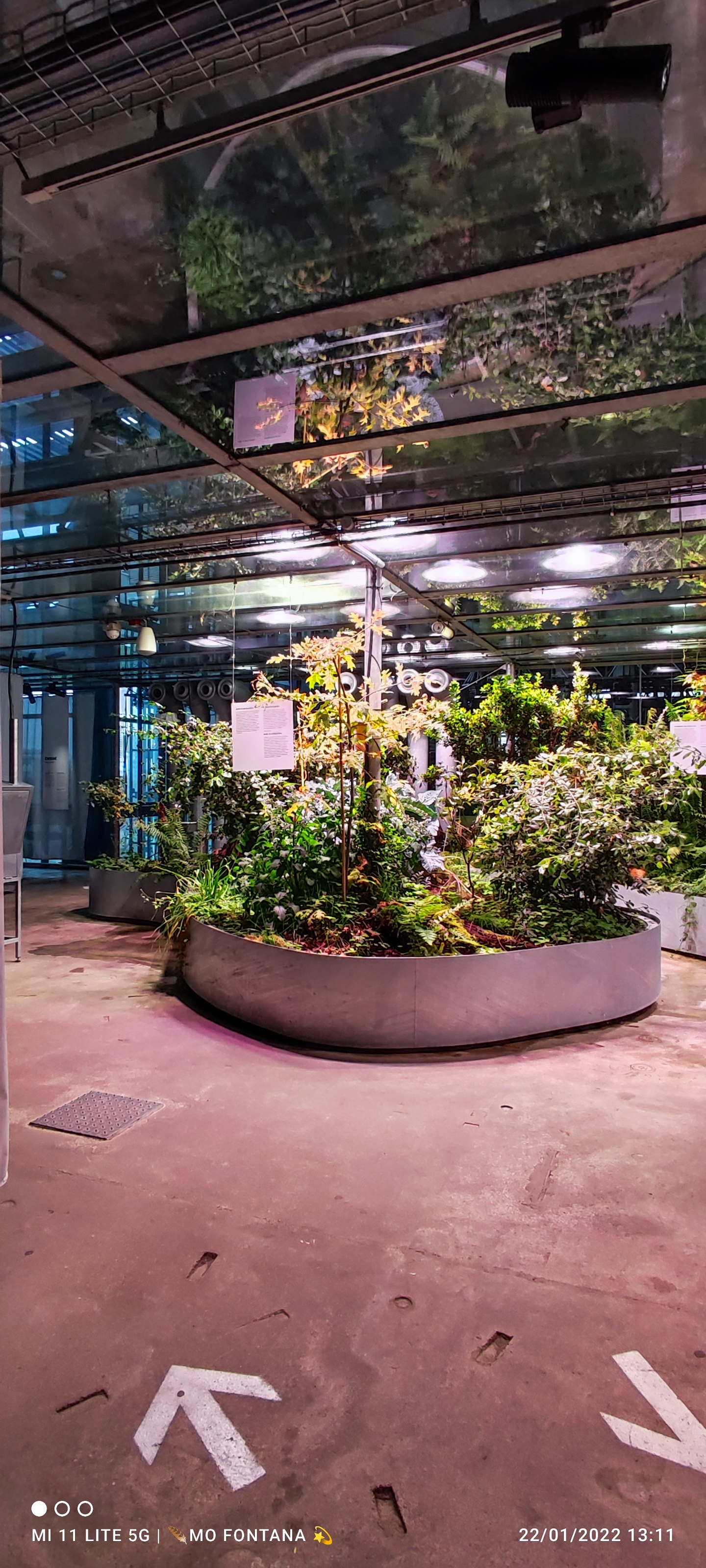 Photo n° 36 de l'avis de monique.O fait le 22/01/2022 à 12:29