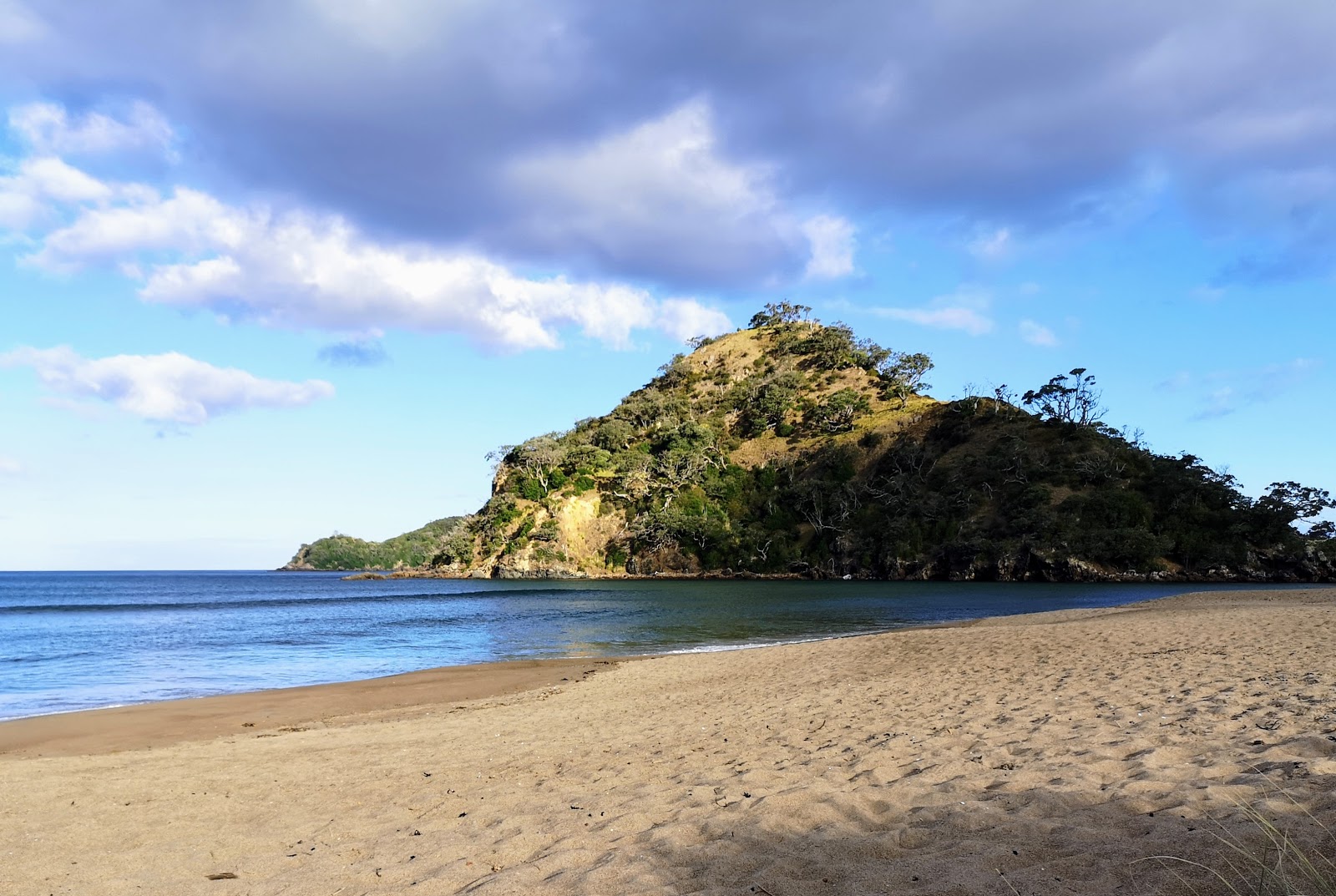 Φωτογραφία του Parauwanui Beach και η εγκατάσταση