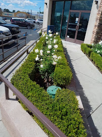 Calderon Landscaping - Photo 3 - Car repair in Santa Ana, CA, Anaheim