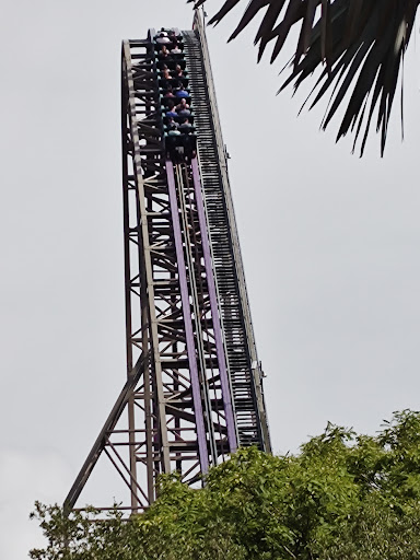 Roller Coaster «Cheetah Hunt», reviews and photos, 10165 N Malcolm McKinley Dr, Tampa, FL 33612, USA