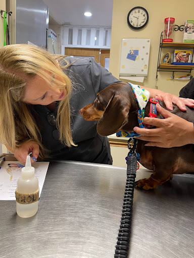 Animal Medical Services image