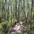 Flat Island Preserve