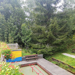 Photo n°5 de l'avis de Leonardo.i fait le 26/08/2020 à 18:54 sur le  Hotel Schwarzwaldtanne à Schönwald im Schwarzwald