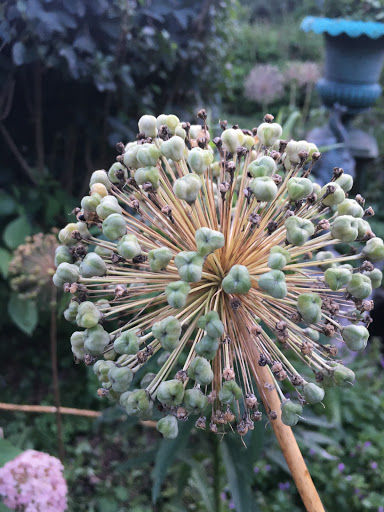 Garden Center «Southern Exposure», reviews and photos, 11269-N Dr North, Battle Creek, MI 49015, USA