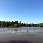 Photo n° 12 de l'avis de Vaingnedroye.a fait le 04/06/2018 à 17:10 pour Parc naturel régional de la Brenne à Rosnay
