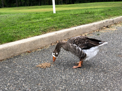Harley-Davidson Dealer «Tramontin Harley-Davidson», reviews and photos, 482 Hope Blairstown Rd, Hope, NJ 07844, USA