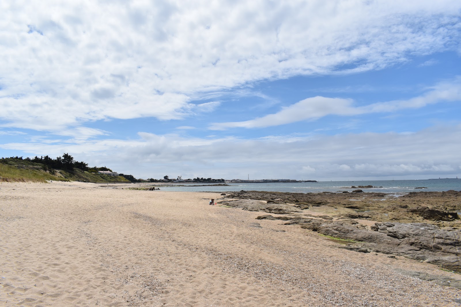 Liniere beach'in fotoğrafı vahşi alan