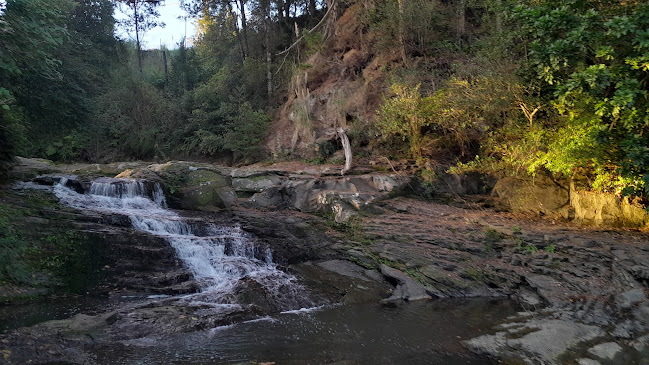 Reviews of Matakana River Tours in Matakana - Travel Agency
