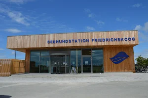 Seal Station Friedrichskoog e.V. image