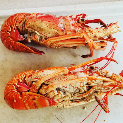 Plats et boissons Cottage Gites Cabazat 97125 Bouillante