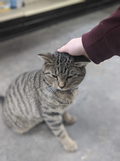 Pet Supply Store «Buckles Feed Depot & Pet Supply», reviews and photos, 220 S 4th St, Lafayette, IN 47901, USA