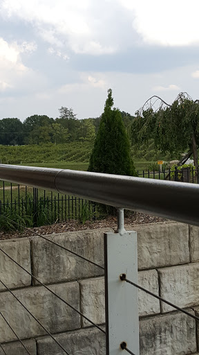 Winery «Villa Marie Winery & Banquet», reviews and photos, 6633 E Main St, Maryville, IL 62062, USA
