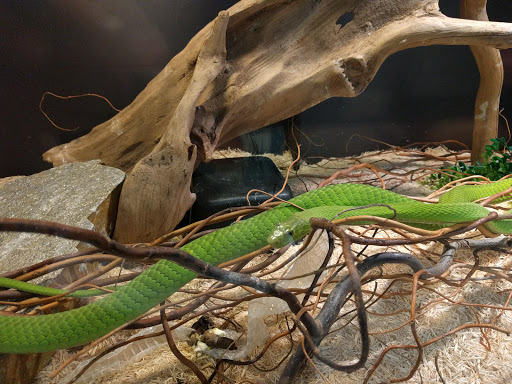 Zoo «Reptile Zoo», reviews and photos, 22715 US-2, Monroe, WA 98272, USA