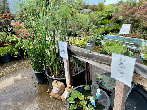 Hardware Store «Payless Hardware, Rockery and Nursery», reviews and photos, 2927 King Rd, San Jose, CA 95122, USA