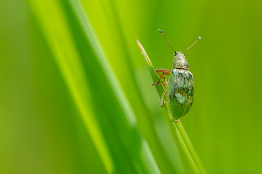 Park «Colby Lake Park», reviews and photos, 9715 Valley Creek Rd, Woodbury, MN 55125, USA