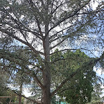 Photo n° 3 de l'avis de Nao. fait le 20/07/2023 à 20:34 pour Parc Balsan à Châteauroux