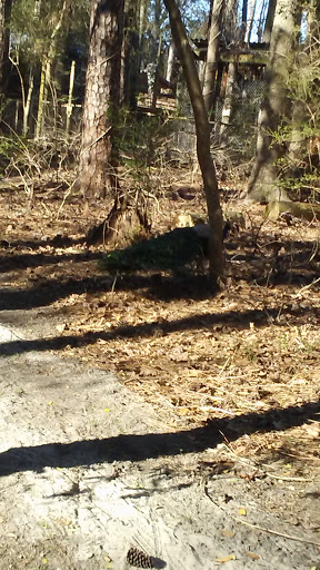 Zoo «Waccatee Zoological Farm», reviews and photos, 8500 Enterprise Rd, Myrtle Beach, SC 29588, USA