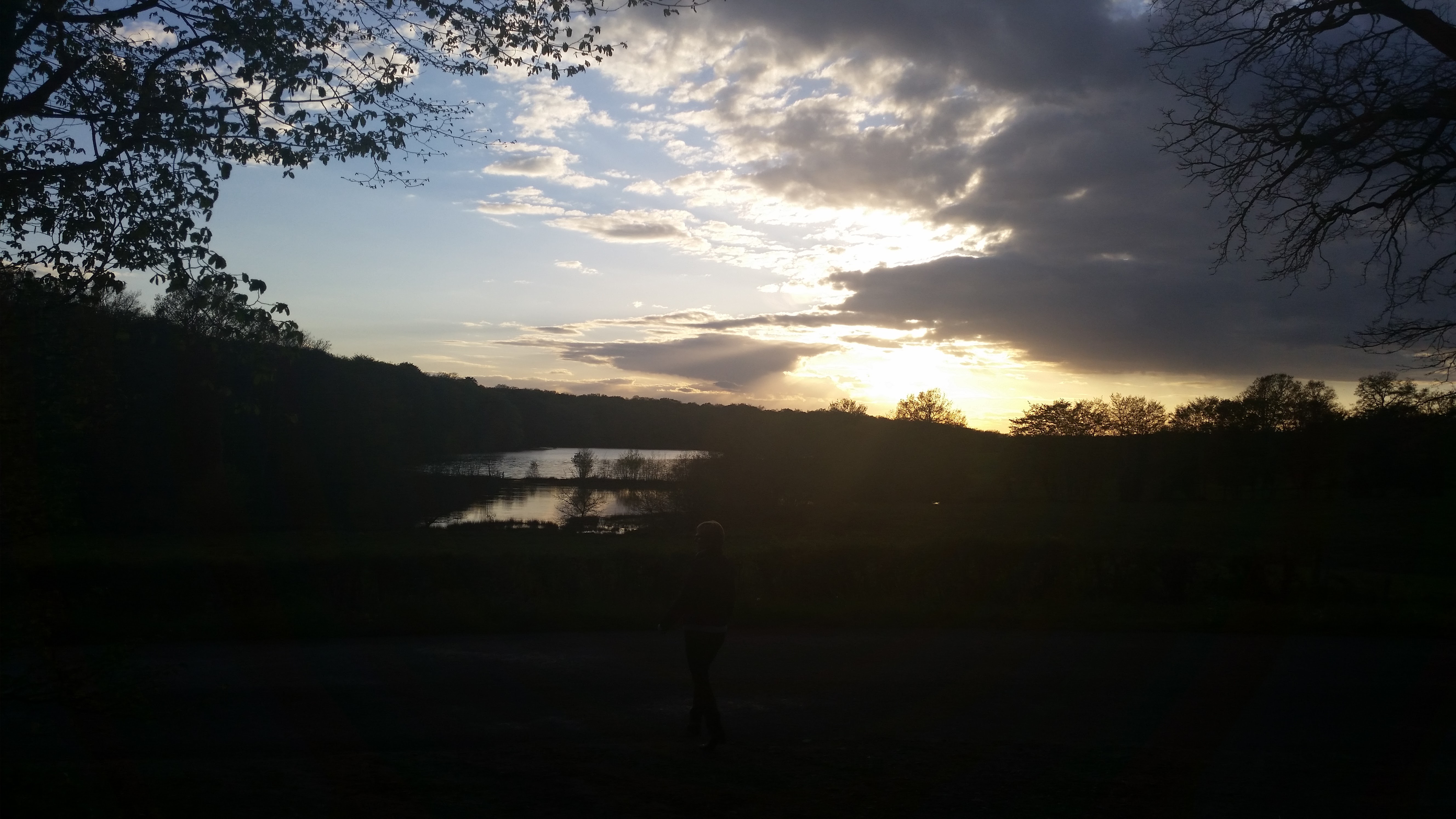 Photo n° 1 de l'avis de Frans.a fait le 07/09/2016 à 12:59