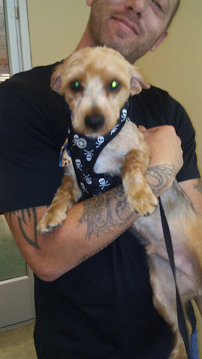 Pet Supply Store «Petco Animal Supplies», reviews and photos, 12551 Jefferson Ave #119, Newport News, VA 23602, USA