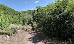 Rush Downhill Bike Trail