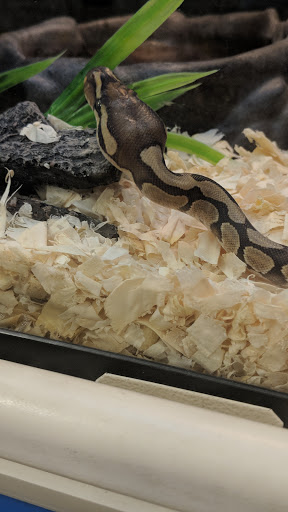 Pet Supply Store «PetSmart», reviews and photos, 7850 W Commercial Blvd, Lauderhill, FL 33351, USA