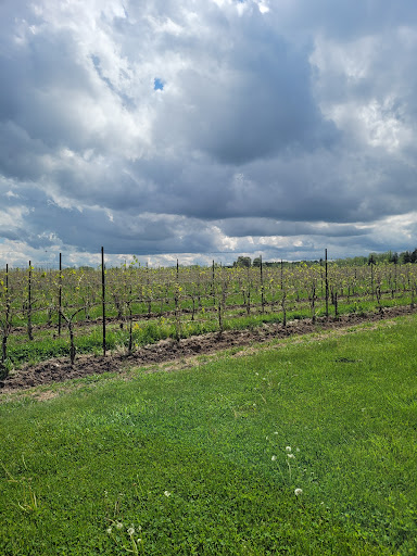 Winery «Hermann J. Wiemer Vineyard», reviews and photos, 3962 NY-14, Dundee, NY 14837, USA